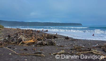 Bruce Bay on the Tasman Sea-9797