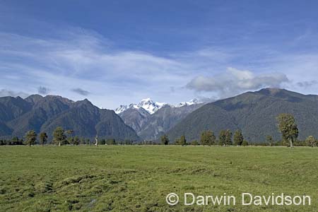 Fox Glacier, Mount Tasman-9807