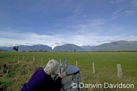 Fox Glacier, Mount Tasman-9811