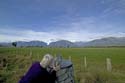 Fox Glacier, Mount Tasman-9811