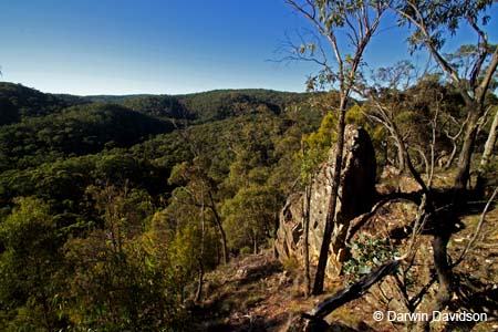 Lerderberg State Park, Blackwood, Victoria-7590