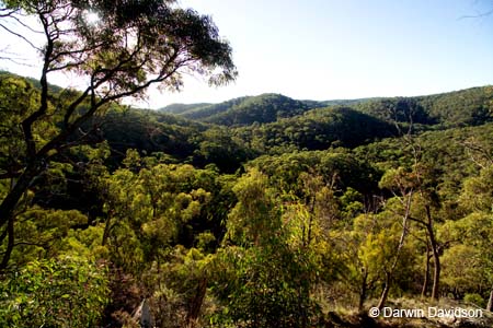 Lerderberg State Park, Blackwood, Victoria-7592