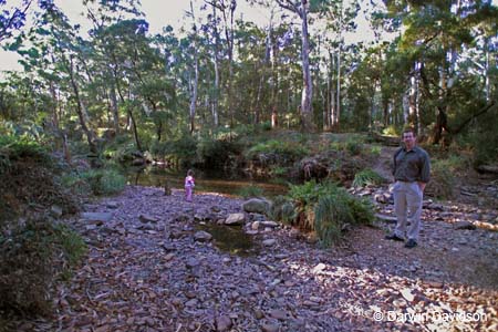 Lerderberg State Park, David and Alexa Powell-7598