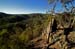 Lerderberg State Park, Blackwood, Victoria-7590