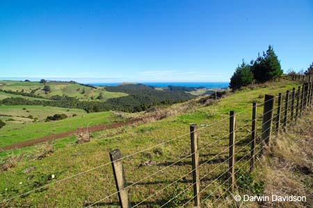 North Island Countryside, Batten Fence-9110