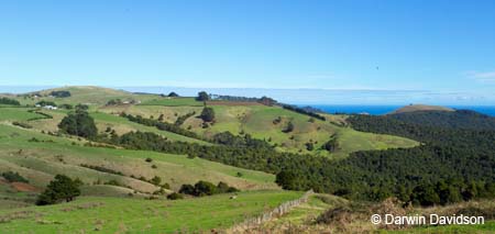 North Island Countryside-9109