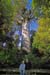 Mary and Jock with Tane Mahuta, Kauri Forest-9126