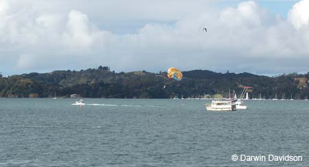 3-Darwin parasailing-0364