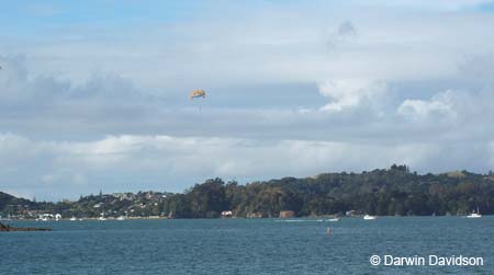 7-Darwin parasailing-0377