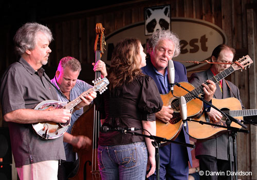 Peter Rowan & Tony Rice Quartet, Bryn Davies-1865