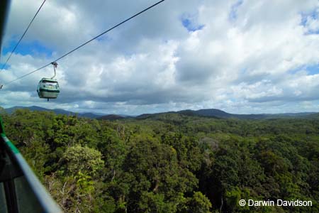 Skyrail, Barron Gorge National Park- 8819