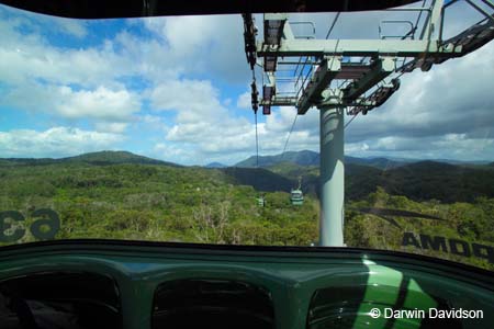 Skyrail, Barron Gorge National Park- 8821