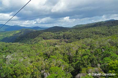 Skyrail, Barron Gorge National Park- 8823