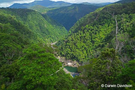 Skyrail, Barron Gorge National Park- 8827