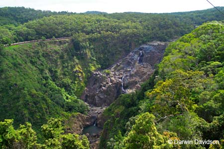 Skyrail, Barron Gorge National Park- 8831