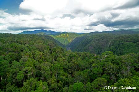 Skyrail, Barron Gorge National Park- 8835