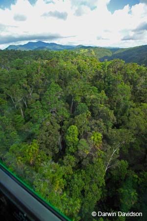 Skyrail, Barron Gorge National Park- 8838