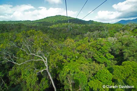 Skyrail, Barron Gorge National Park- 8844