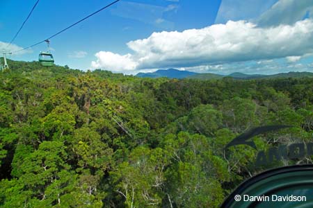 Skyrail, Barron Gorge National Park- 8846