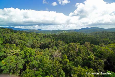 Skyrail, Barron Gorge National Park- 8849