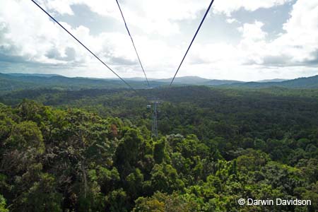 Skyrail, Barron Gorge National Park- 8852