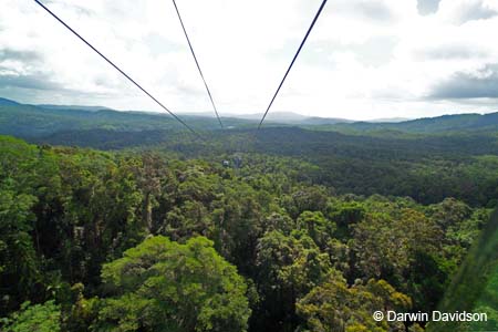 Skyrail, Barron Gorge National Park- 8854