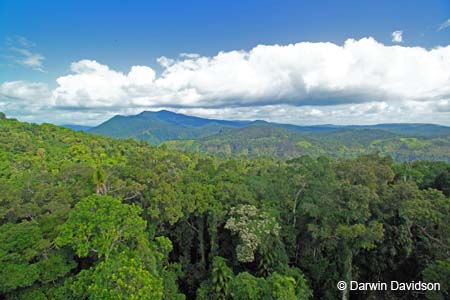 Skyrail, Barron Gorge National Park- 8855