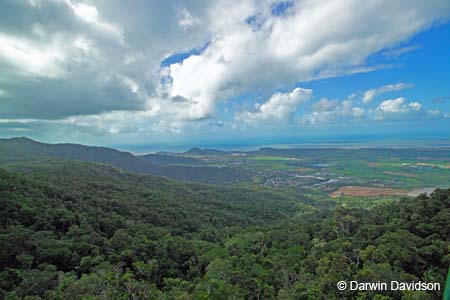 Skyrail, Barron Gorge National Park- 8862