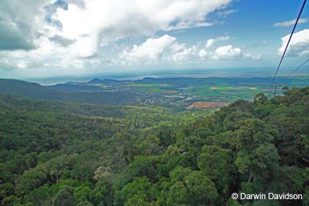 Skyrail, Barron Gorge National Park- 8865