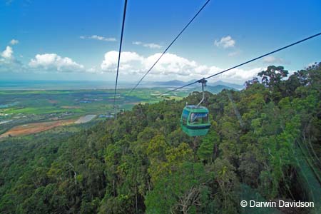 Skyrail, Barron Gorge National Park- 8871