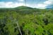 Skyrail, Barron Gorge National Park- 8844