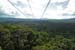 Skyrail, Barron Gorge National Park- 8852