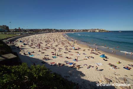 Bondi Beach-7153