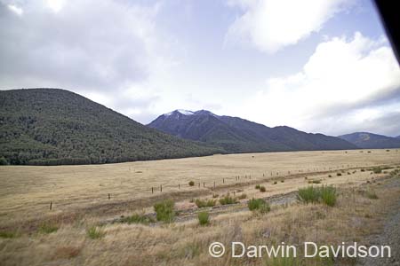 TranzAlpine Train-0044