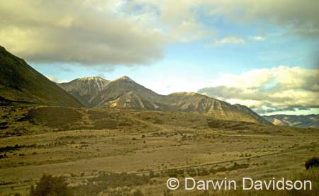 TranzAlpine Train-0053