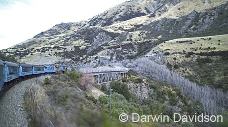 TranzAlpine Train-0060