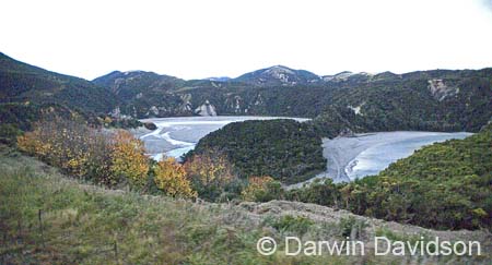 TranzAlpine Train-0080