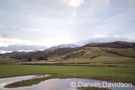 TranzAlpine Train-0101