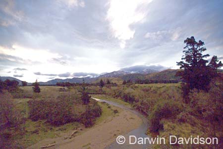 TranzAlpine Train-0104