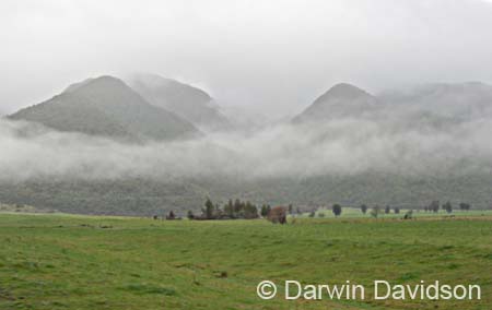 TranzAlpine Train-0501