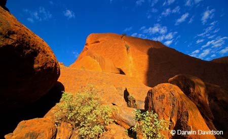 Uluru-8167