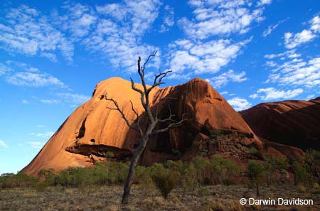 Uluru-8202