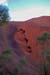 Uluru-8186