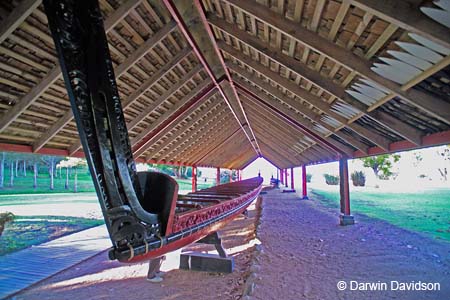 Waitangi Treaty Grounds, Maori Waka-9264