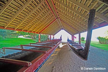 Waitangi Treaty Grounds, Maori Waka-9266