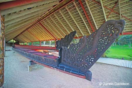 Waitangi Treaty Grounds, Maori Waka-9270