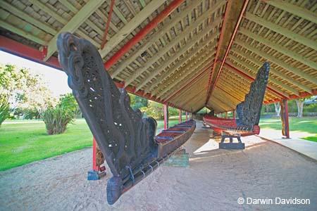 Waitangi Treaty Grounds, Maori Waka-9272